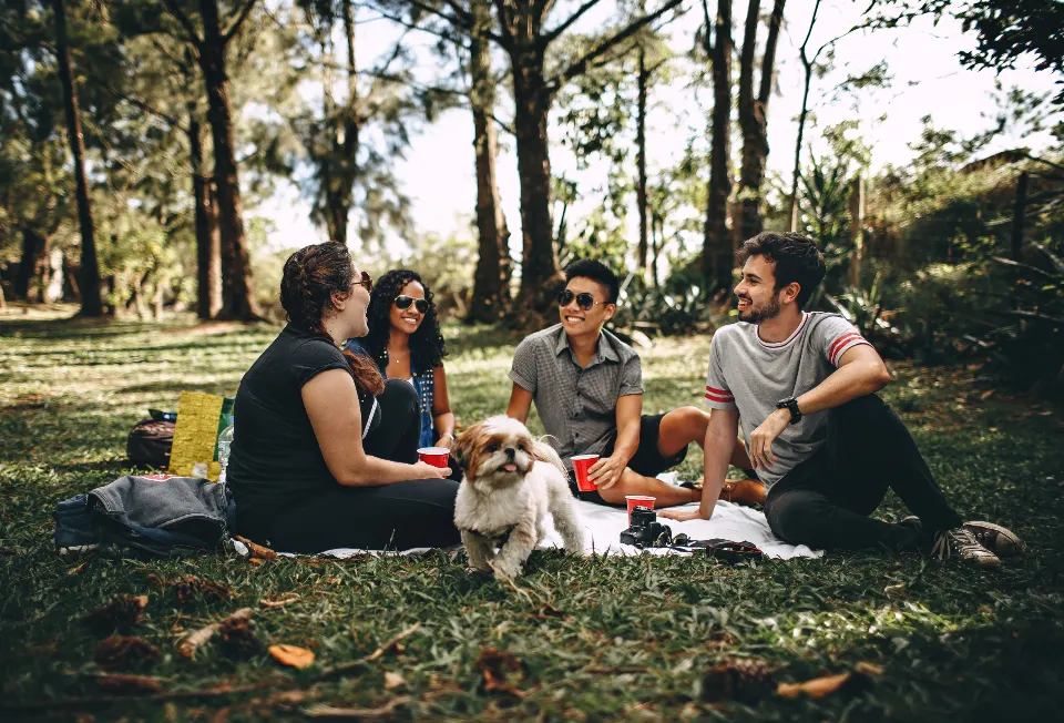 A relaxed walk through a city park